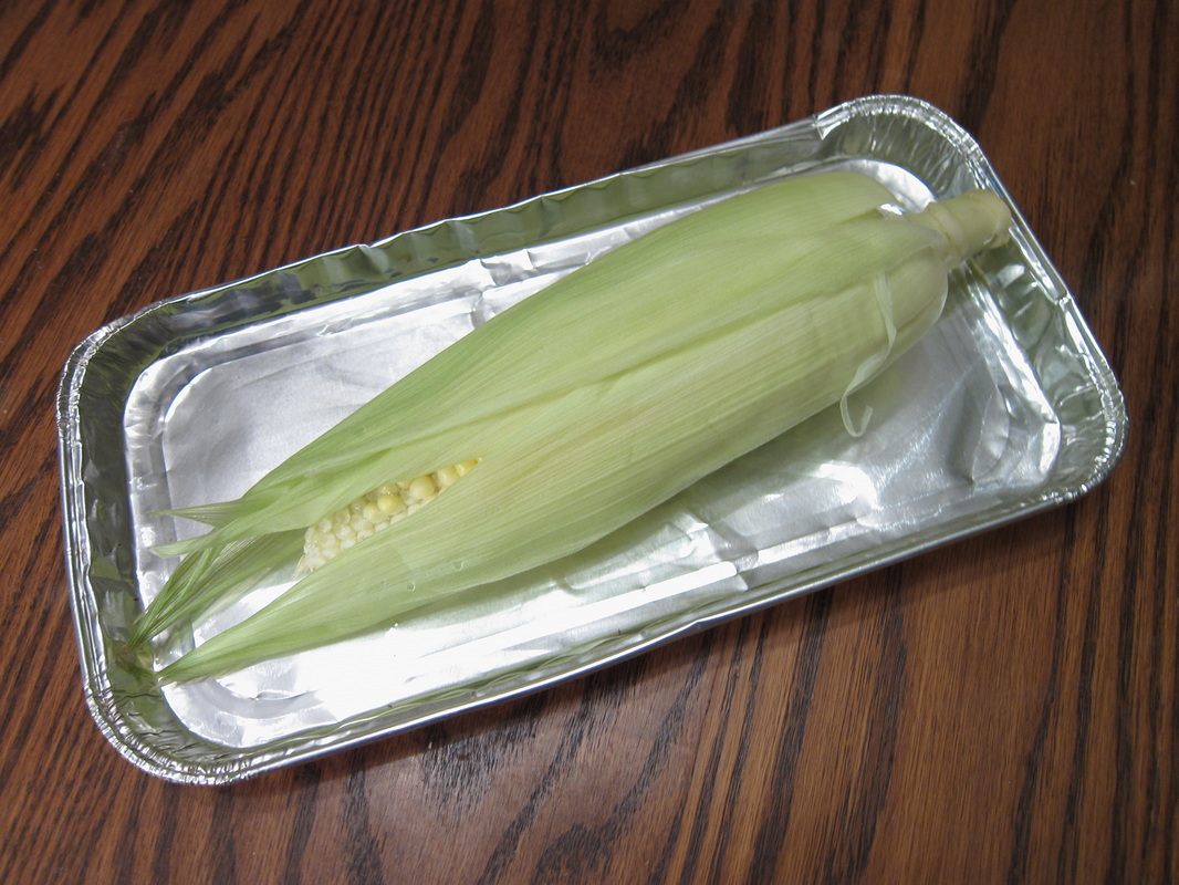 Ear of corn in inner husk on tinfoil tray